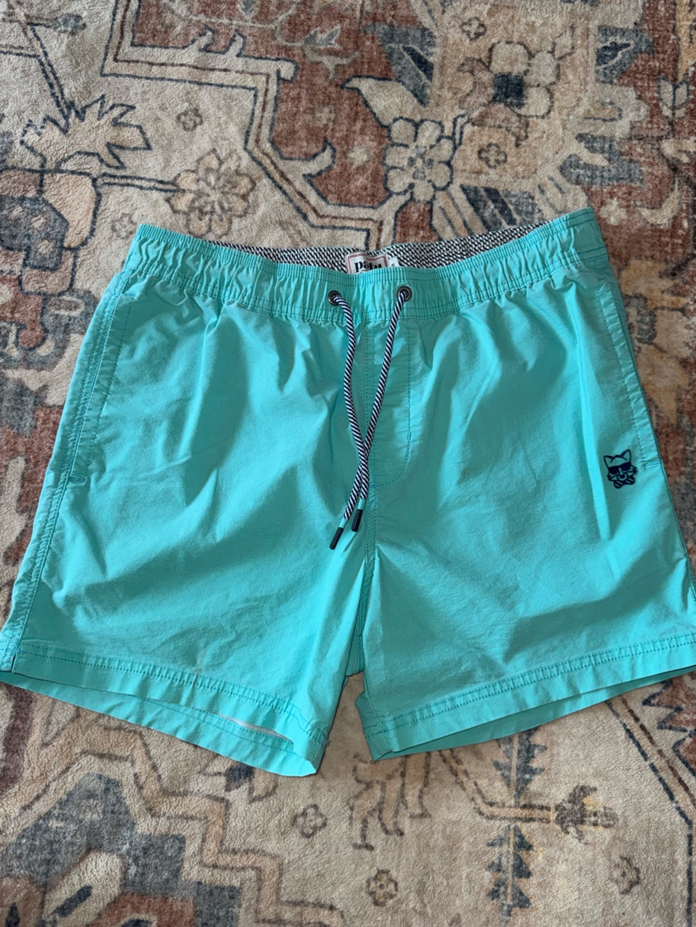Men's Aqua Drawstring Swim Trunks with Logo